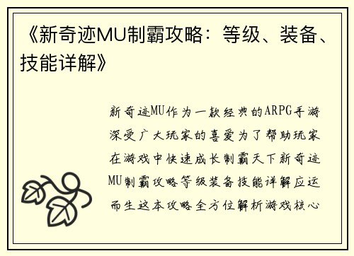 《新奇迹MU制霸攻略：等级、装备、技能详解》